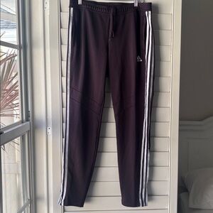 Adidas Women's Joggers in Deep Purple with White Stripes